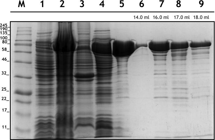 https://cdn.ncbi.nlm.nih.gov/pmc/blobs/3350/6388921/564758903aec/pone.0212629.g002.jpg