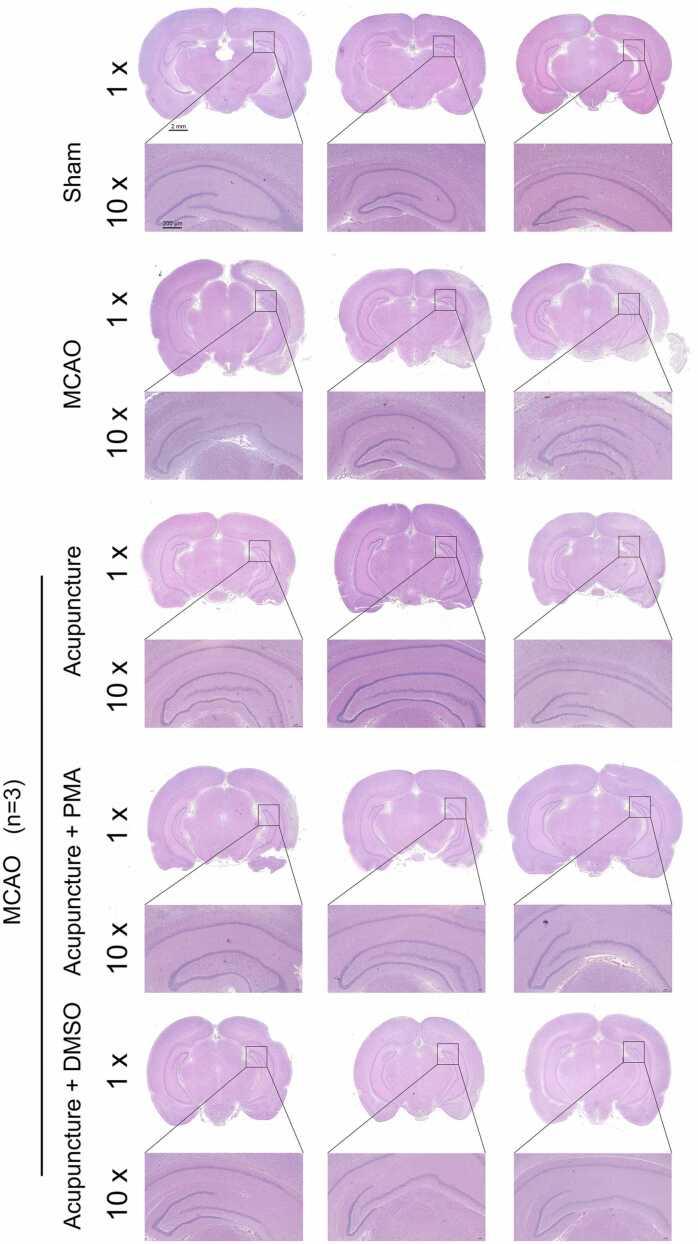 https://cdn.ncbi.nlm.nih.gov/pmc/blobs/3351/11919299/6bb469ab2f67/gr6.jpg
