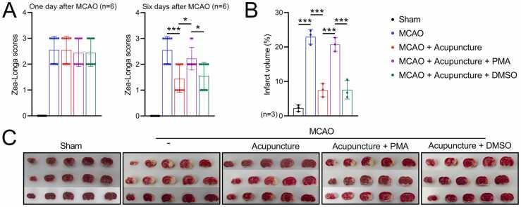 https://cdn.ncbi.nlm.nih.gov/pmc/blobs/3351/11919299/71980ff0880d/gr2.jpg