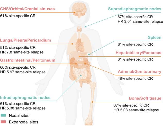 https://cdn.ncbi.nlm.nih.gov/pmc/blobs/3353/11997148/10c162c27700/41408_2025_1273_Figa_HTML.jpg
