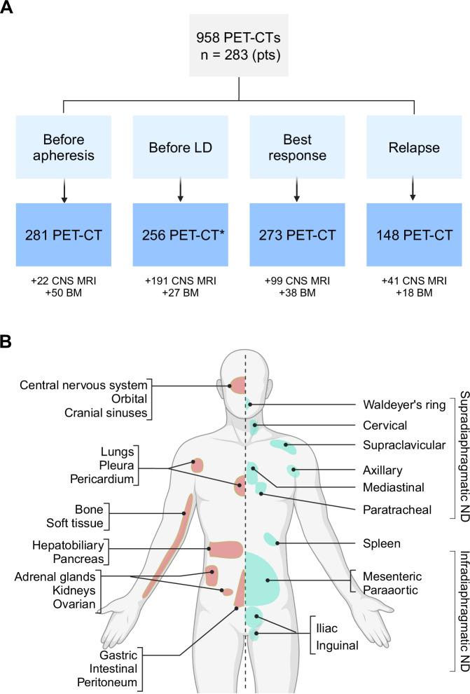 https://cdn.ncbi.nlm.nih.gov/pmc/blobs/3353/11997148/6cca52cb255a/41408_2025_1273_Fig1_HTML.jpg