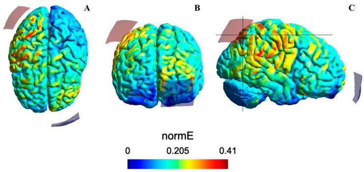https://cdn.ncbi.nlm.nih.gov/pmc/blobs/3353/12387897/965322317af3/life-15-01323-g003.jpg
