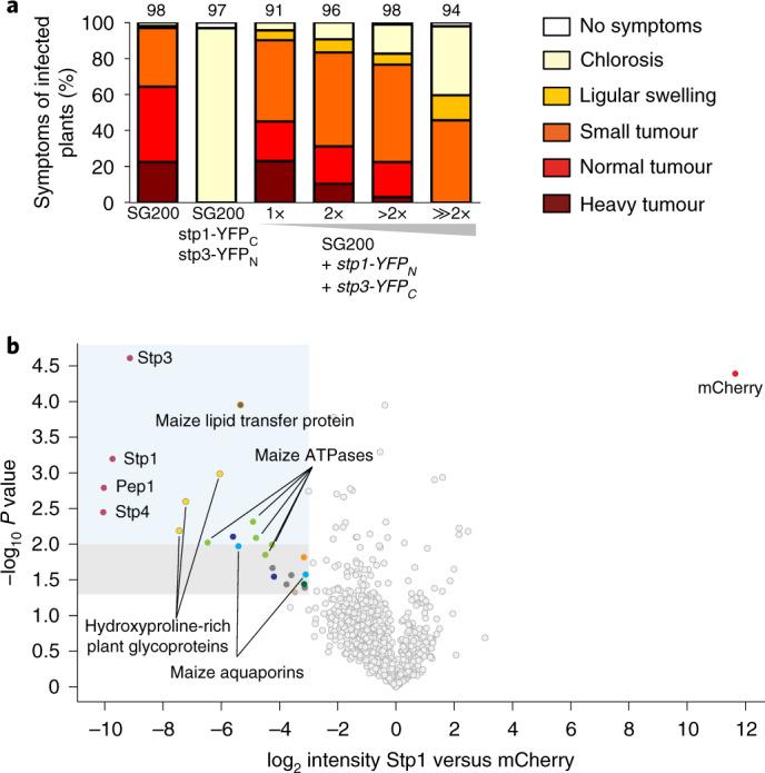 https://cdn.ncbi.nlm.nih.gov/pmc/blobs/3354/8159752/7844485941c8/41564_2021_896_Fig3_HTML.jpg