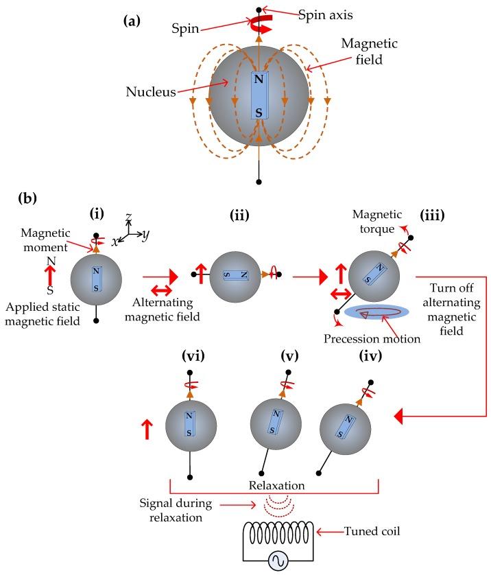 https://cdn.ncbi.nlm.nih.gov/pmc/blobs/3355/5676656/cd8fd5e7d3fb/sensors-17-02384-g010.jpg