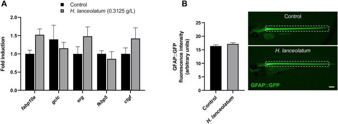 https://cdn.ncbi.nlm.nih.gov/pmc/blobs/335b/8963451/05e400bb7aa9/fphar-13-832928-g003.jpg