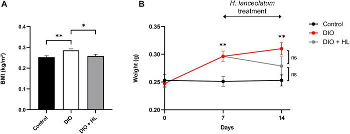 https://cdn.ncbi.nlm.nih.gov/pmc/blobs/335b/8963451/6eadf887a135/fphar-13-832928-g011.jpg