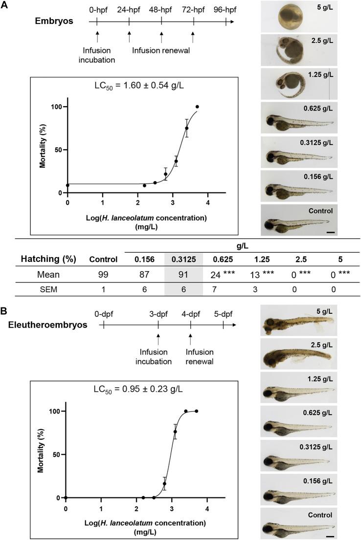 https://cdn.ncbi.nlm.nih.gov/pmc/blobs/335b/8963451/72cb8b76d075/fphar-13-832928-g002.jpg