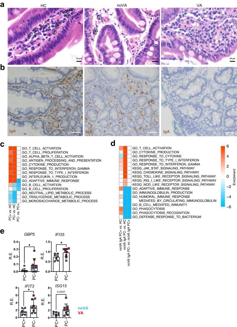 https://cdn.ncbi.nlm.nih.gov/pmc/blobs/335b/9892141/5e9022910177/10875_2022_1379_Fig5_HTML.jpg