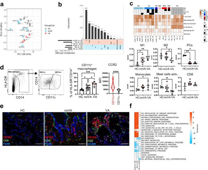 https://cdn.ncbi.nlm.nih.gov/pmc/blobs/335b/9892141/a821a7823181/10875_2022_1379_Fig3_HTML.jpg