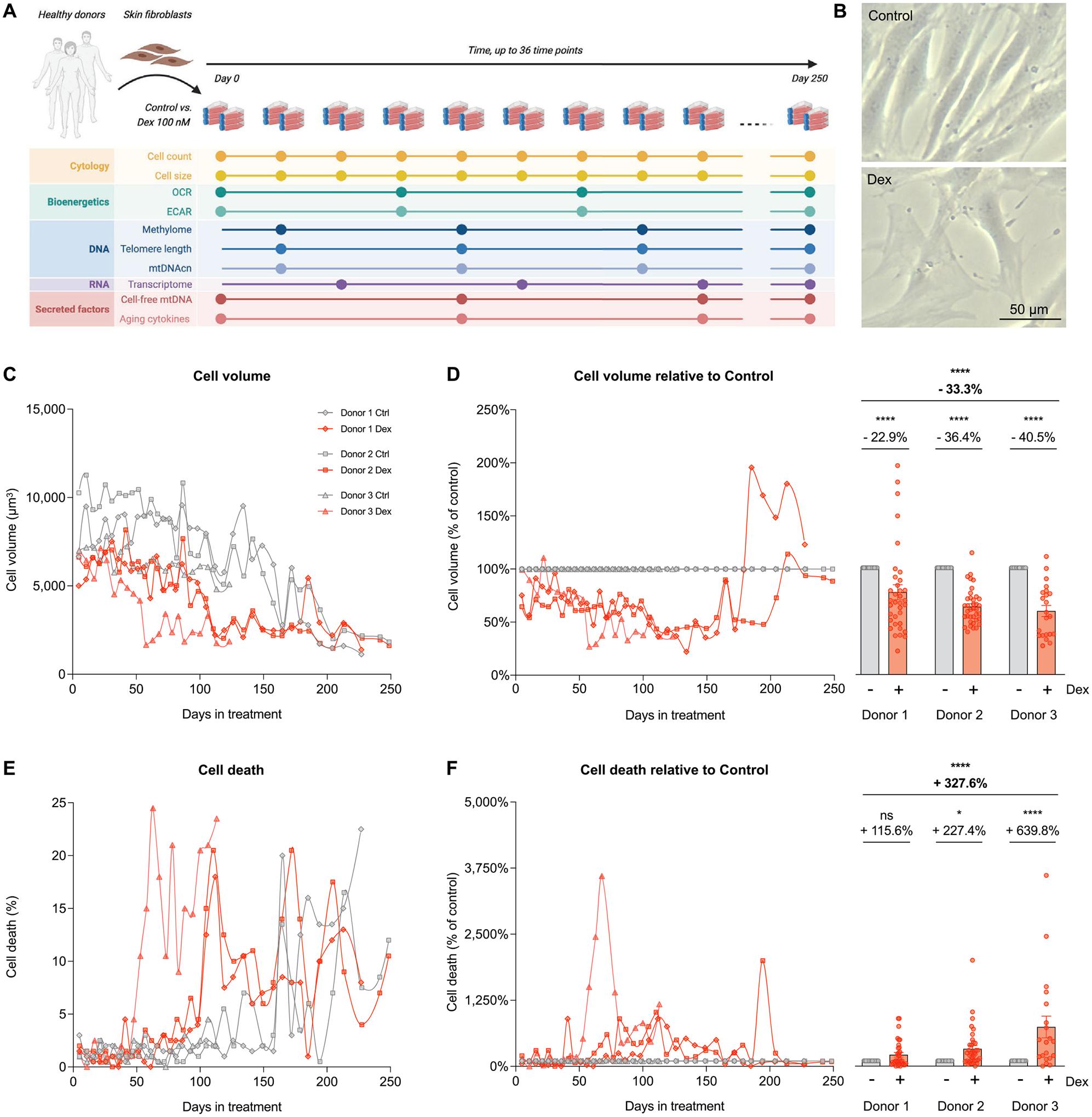 https://cdn.ncbi.nlm.nih.gov/pmc/blobs/335c/10528419/0294e30a8f2b/nihms-1912434-f0001.jpg