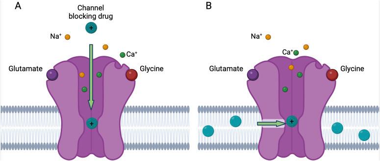 https://cdn.ncbi.nlm.nih.gov/pmc/blobs/335d/12075551/363c5cef27cd/fphar-16-1561956-g002.jpg