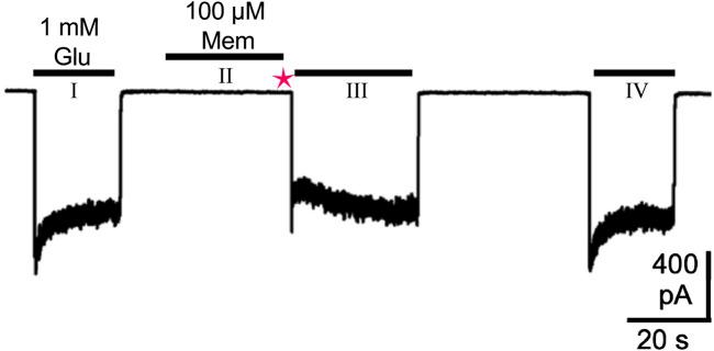 https://cdn.ncbi.nlm.nih.gov/pmc/blobs/335d/12075551/665cbb1434b8/fphar-16-1561956-g003.jpg