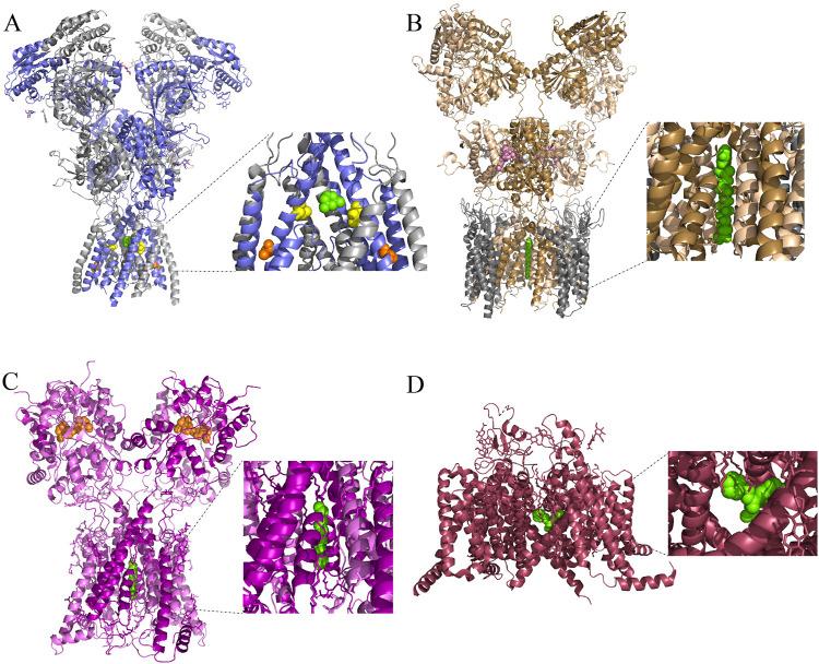 https://cdn.ncbi.nlm.nih.gov/pmc/blobs/335d/12075551/897ca31c3ce8/fphar-16-1561956-g001.jpg