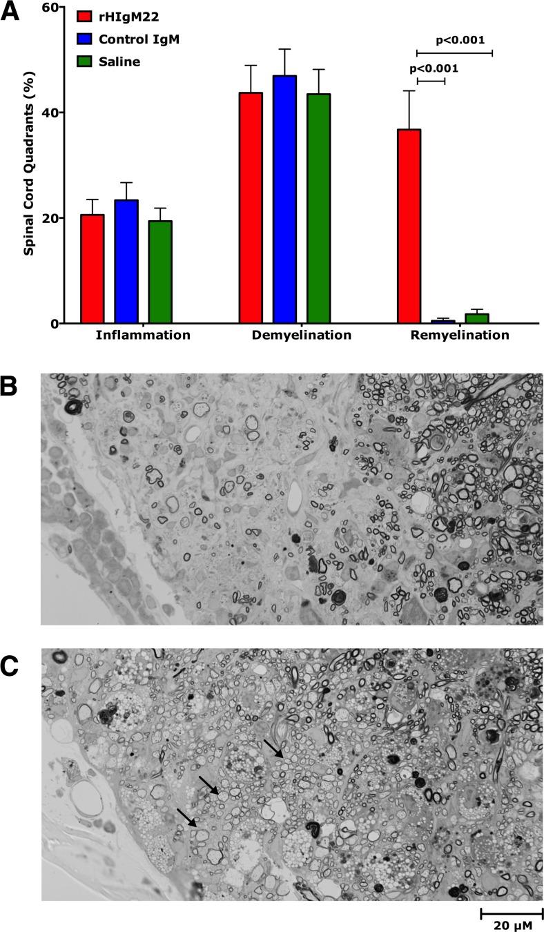 https://cdn.ncbi.nlm.nih.gov/pmc/blobs/335d/5012151/a6564425a46f/12035_2015_9436_Fig2_HTML.jpg