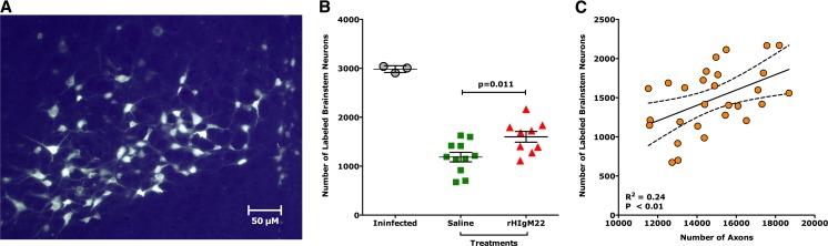 https://cdn.ncbi.nlm.nih.gov/pmc/blobs/335d/5012151/e3ded000c228/12035_2015_9436_Fig4_HTML.jpg