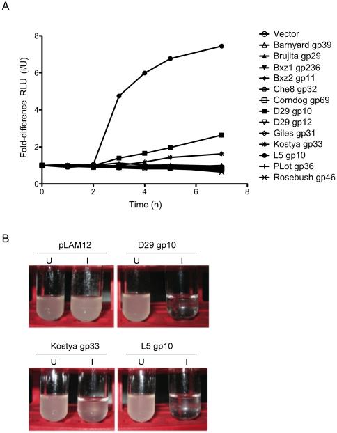 https://cdn.ncbi.nlm.nih.gov/pmc/blobs/335e/3314691/7992077f2b50/pone.0034052.g009.jpg