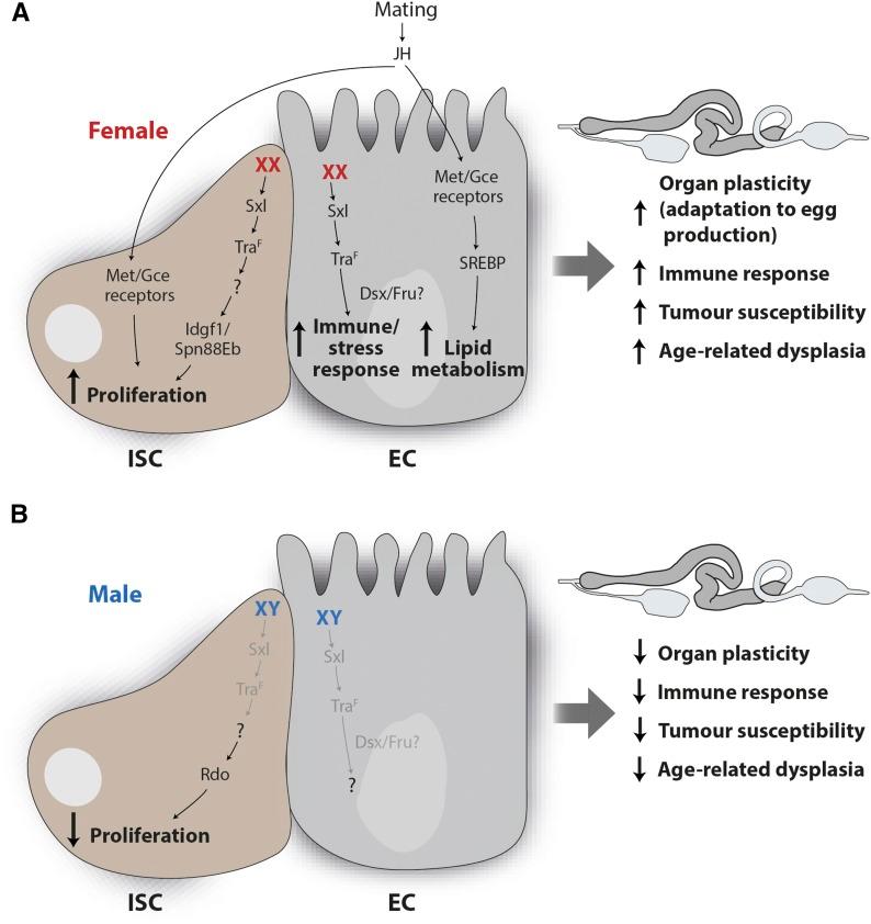 https://cdn.ncbi.nlm.nih.gov/pmc/blobs/335f/6216580/07cc1bf34864/357fig4.jpg