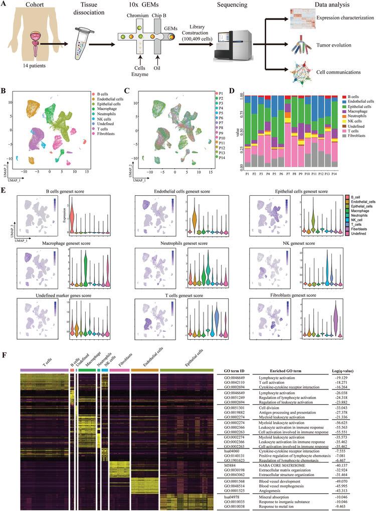 https://cdn.ncbi.nlm.nih.gov/pmc/blobs/3360/9131431/91a5df742af6/ADVS-9-2105530-g002.jpg