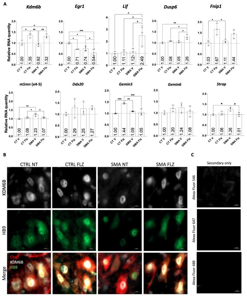 https://cdn.ncbi.nlm.nih.gov/pmc/blobs/3361/11431868/9dd047b00300/ijms-25-10039-g005.jpg