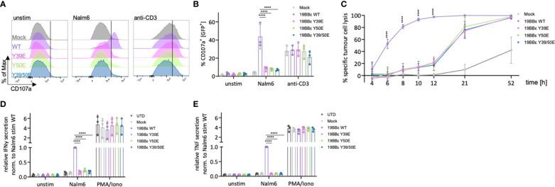https://cdn.ncbi.nlm.nih.gov/pmc/blobs/3362/11109380/400145dac365/fimmu-15-1392933-g006.jpg