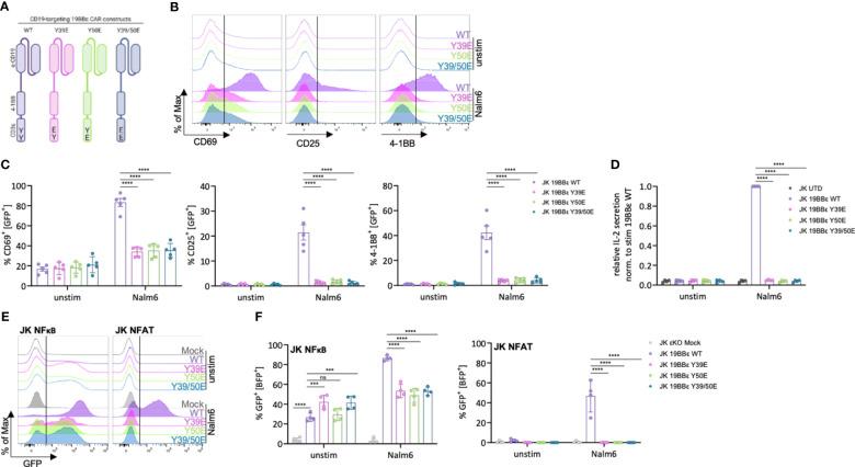 https://cdn.ncbi.nlm.nih.gov/pmc/blobs/3362/11109380/d4db4a4562cf/fimmu-15-1392933-g004.jpg
