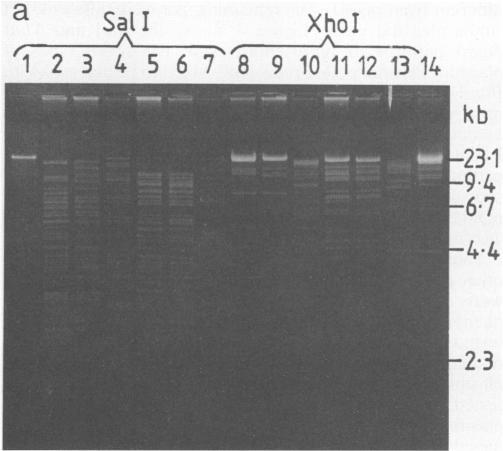 https://cdn.ncbi.nlm.nih.gov/pmc/blobs/3363/202582/8209f2a41198/aem00109-0135-a.jpg