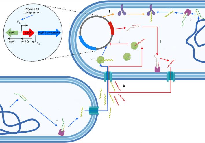 https://cdn.ncbi.nlm.nih.gov/pmc/blobs/3363/9306868/2b874ec49ab1/JAM-132-3444-g003.jpg
