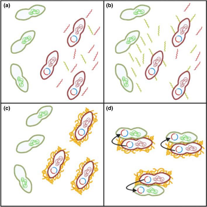 https://cdn.ncbi.nlm.nih.gov/pmc/blobs/3363/9306868/b2d3bff24fc4/JAM-132-3444-g002.jpg