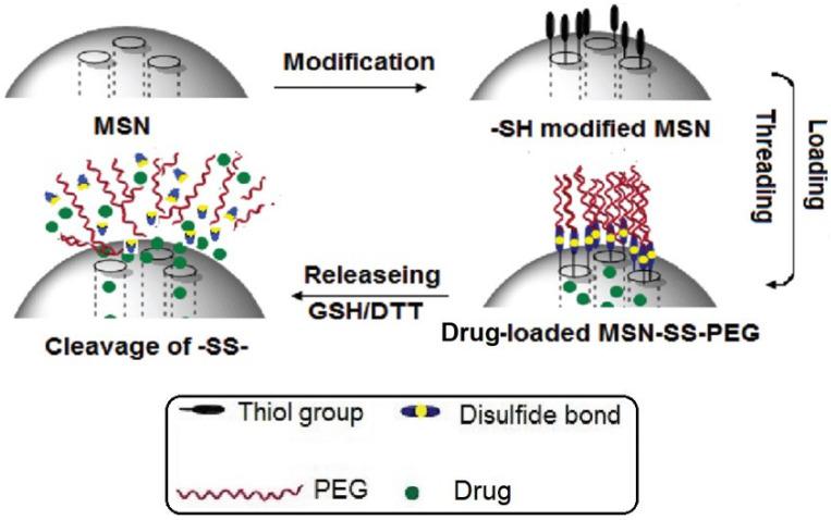 https://cdn.ncbi.nlm.nih.gov/pmc/blobs/3367/11054758/92fca0464e82/polymers-16-01105-g015.jpg