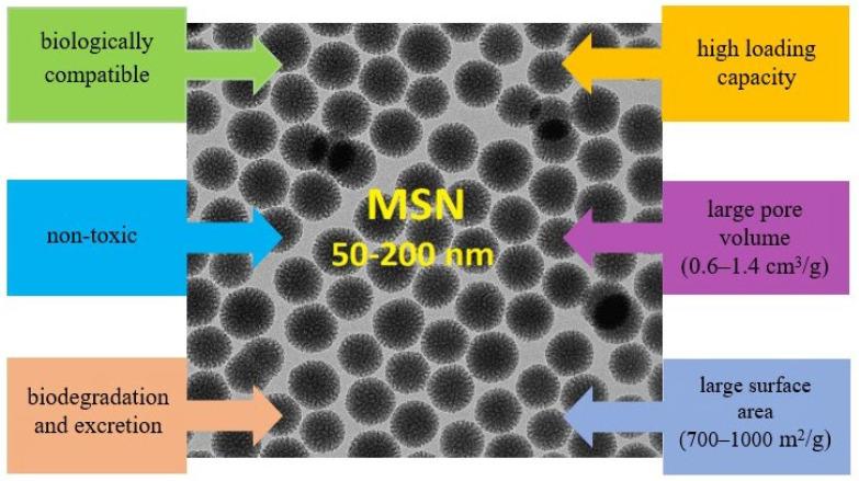 https://cdn.ncbi.nlm.nih.gov/pmc/blobs/3367/11054758/bc6d87fd010a/polymers-16-01105-g007.jpg