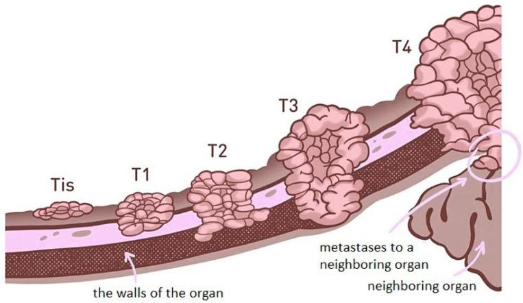 https://cdn.ncbi.nlm.nih.gov/pmc/blobs/3367/11054758/be7c88d1d15b/polymers-16-01105-g001.jpg