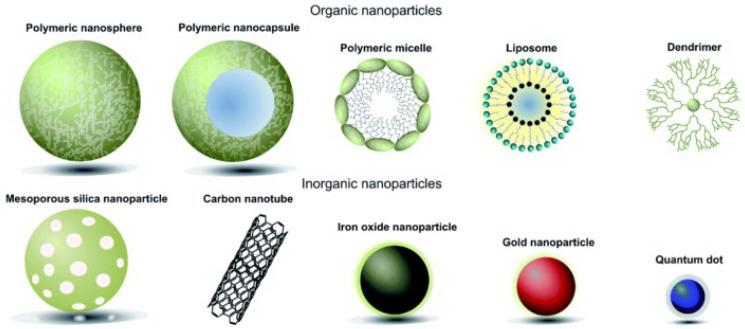 https://cdn.ncbi.nlm.nih.gov/pmc/blobs/3367/11054758/cd9e45840d60/polymers-16-01105-g005.jpg