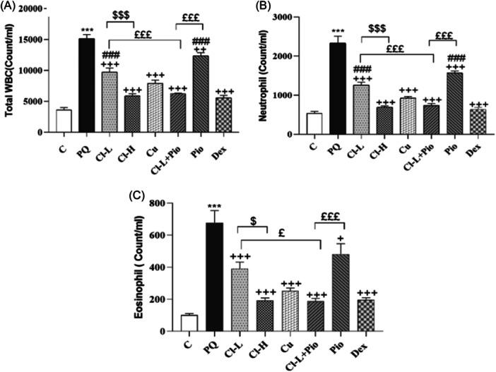 https://cdn.ncbi.nlm.nih.gov/pmc/blobs/3367/11340013/84a40b5948c0/IID3-12-e70001-g005.jpg
