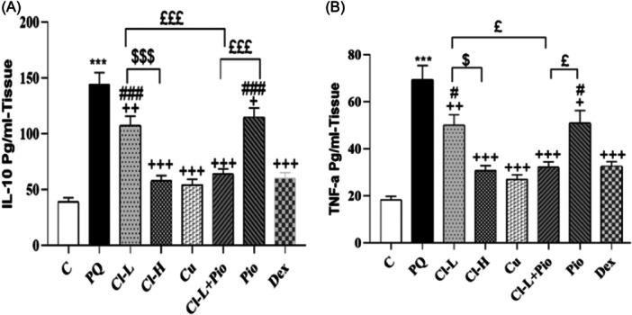 https://cdn.ncbi.nlm.nih.gov/pmc/blobs/3367/11340013/8bca5e64d063/IID3-12-e70001-g004.jpg