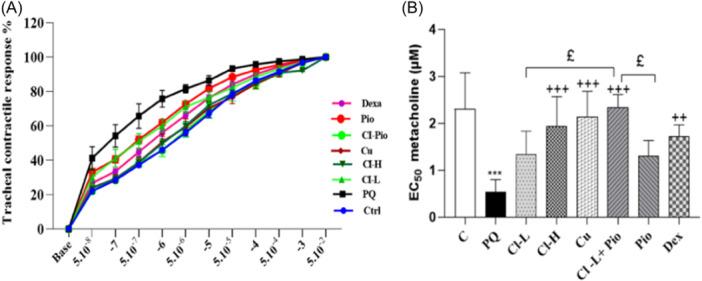 https://cdn.ncbi.nlm.nih.gov/pmc/blobs/3367/11340013/e0b300938dac/IID3-12-e70001-g002.jpg