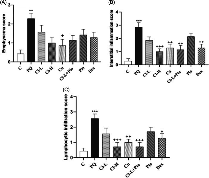 https://cdn.ncbi.nlm.nih.gov/pmc/blobs/3367/11340013/e306c622dfc2/IID3-12-e70001-g007.jpg