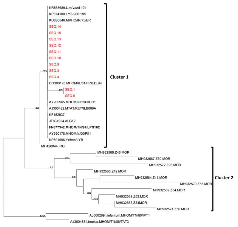 https://cdn.ncbi.nlm.nih.gov/pmc/blobs/3367/8430620/4ac46450cc8c/ijerph-18-09274-g004.jpg