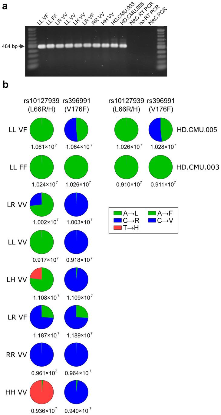 https://cdn.ncbi.nlm.nih.gov/pmc/blobs/3368/11270249/0ae3eb8b35b5/antibodies-13-00055-g001.jpg