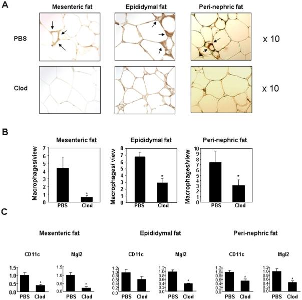 https://cdn.ncbi.nlm.nih.gov/pmc/blobs/3368/3171445/0adf68c870bb/pone.0024358.g001.jpg