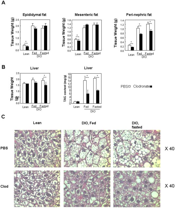 https://cdn.ncbi.nlm.nih.gov/pmc/blobs/3368/3171445/25c0ffdc821c/pone.0024358.g004.jpg