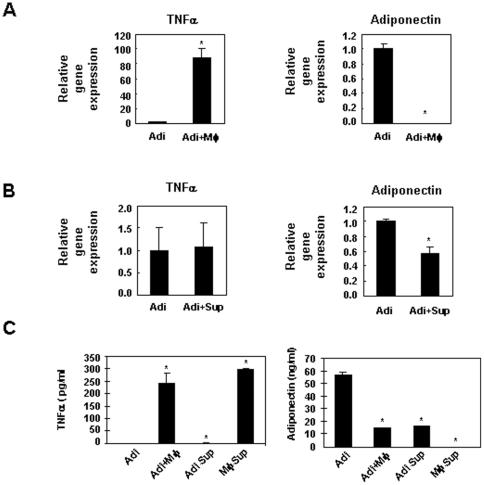https://cdn.ncbi.nlm.nih.gov/pmc/blobs/3368/3171445/7a70ebbd780f/pone.0024358.g007.jpg