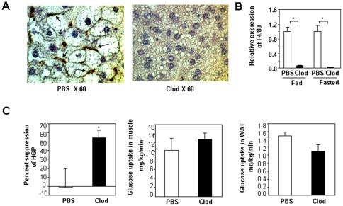 https://cdn.ncbi.nlm.nih.gov/pmc/blobs/3368/3171445/80a52486277d/pone.0024358.g005.jpg