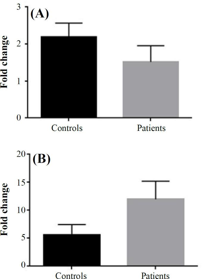 https://cdn.ncbi.nlm.nih.gov/pmc/blobs/3369/12040632/d0232a288b6b/ibj-29-049-g001.jpg