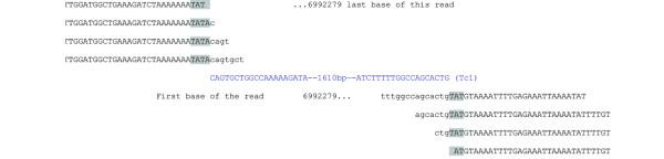 https://cdn.ncbi.nlm.nih.gov/pmc/blobs/3369/2837035/1c0734e58710/1471-2164-11-131-7.jpg
