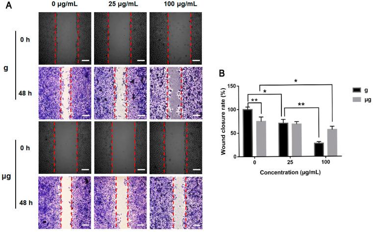 https://cdn.ncbi.nlm.nih.gov/pmc/blobs/336a/9182076/886ffdee1f2d/nanomaterials-12-01879-g004.jpg