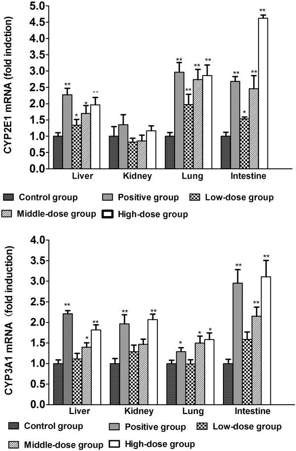 https://cdn.ncbi.nlm.nih.gov/pmc/blobs/336b/4150957/51bc5824951b/12906_2014_1884_Fig4_HTML.jpg