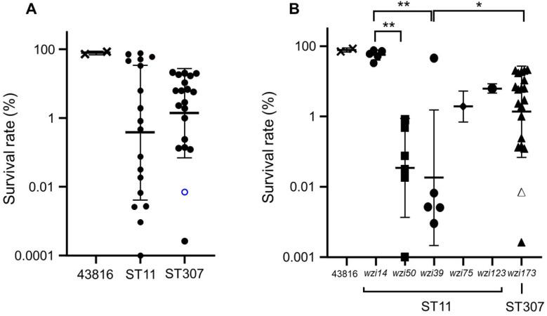 https://cdn.ncbi.nlm.nih.gov/pmc/blobs/336e/9504348/fbbe4751722b/microorganisms-10-01827-g001.jpg