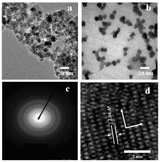 https://cdn.ncbi.nlm.nih.gov/pmc/blobs/336f/2265288/42263298113b/1477-3155-6-1-4.jpg