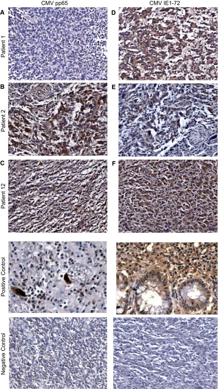 https://cdn.ncbi.nlm.nih.gov/pmc/blobs/3374/4612329/b3c64b191018/11060_2015_1905_Fig2_HTML.jpg