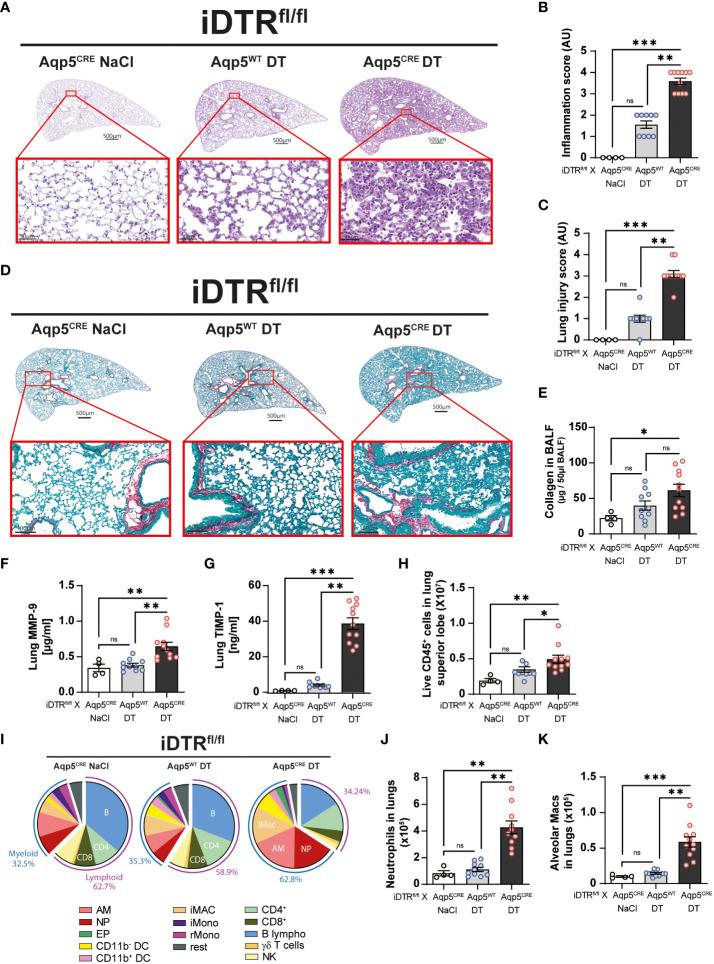 https://cdn.ncbi.nlm.nih.gov/pmc/blobs/3376/10568624/2bfc41609dd0/fimmu-14-1261483-g004.jpg
